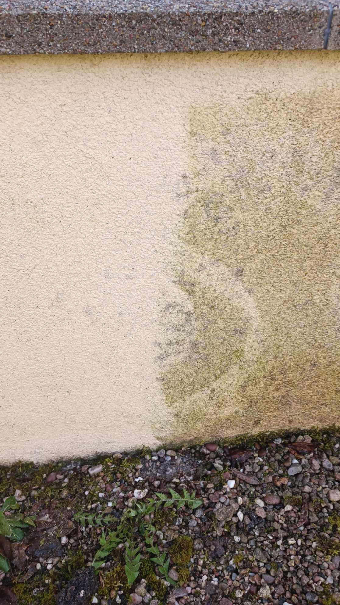 Nettoyage maison mur pierre Prosteam services Vosges 