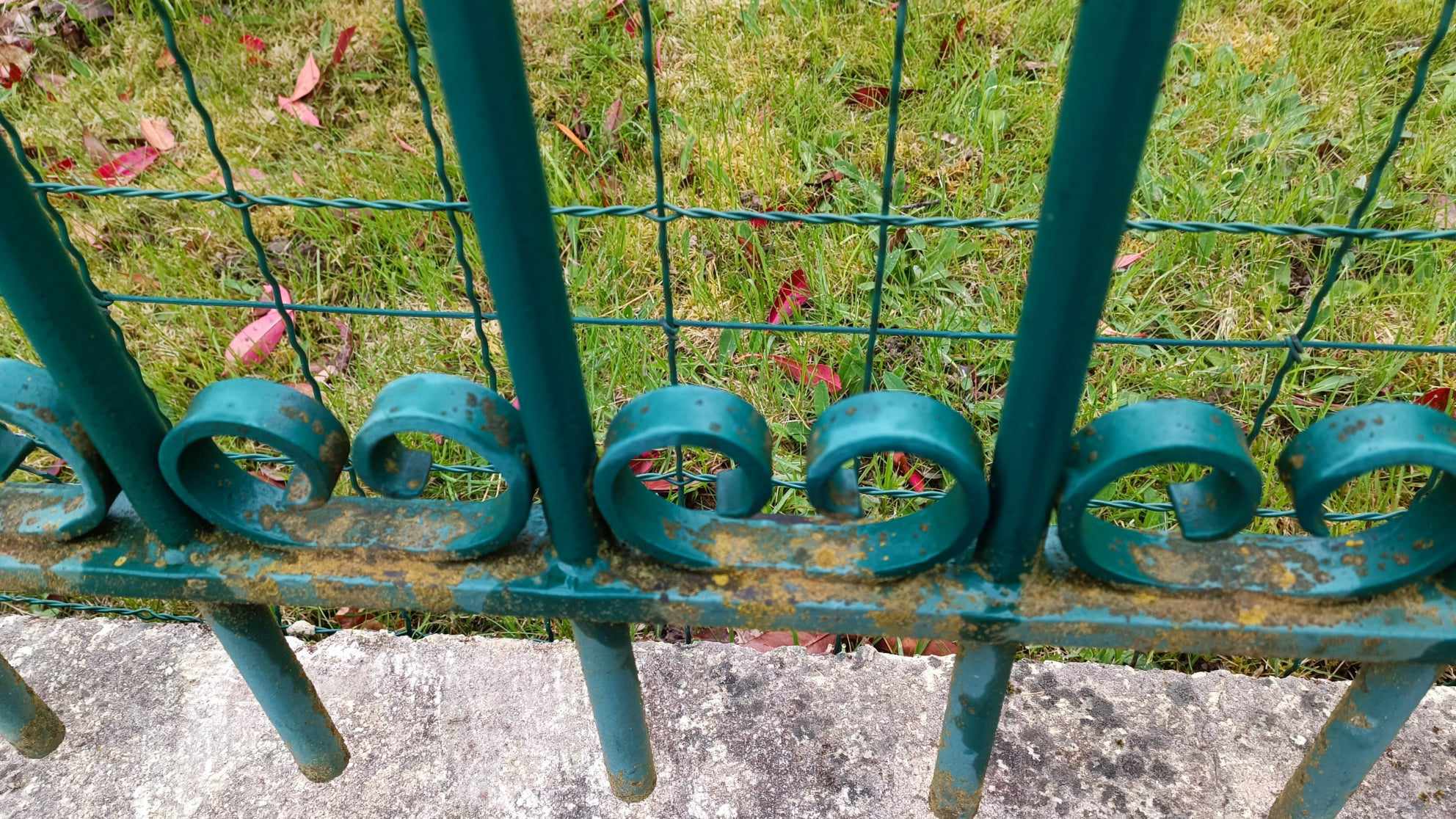 Nettoyage clôture garde corps Prosteam services vosges 