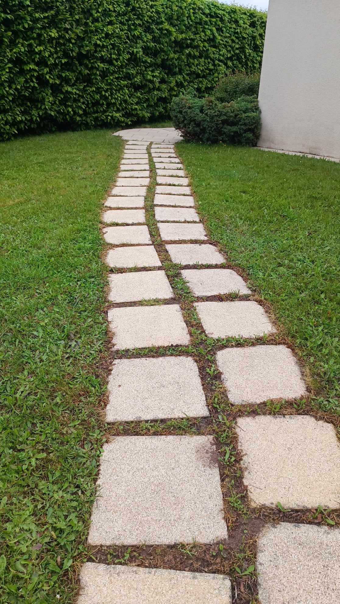 nettoyage dalles extérieur prosteam services vosges 