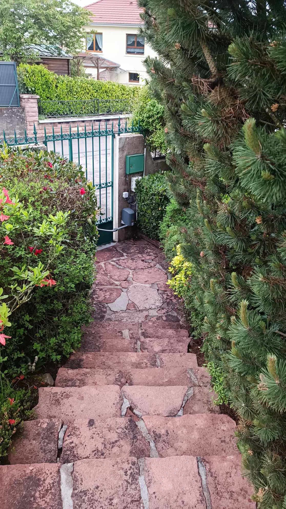 Nettoyage sol pierre escalier Prosteam services vosges