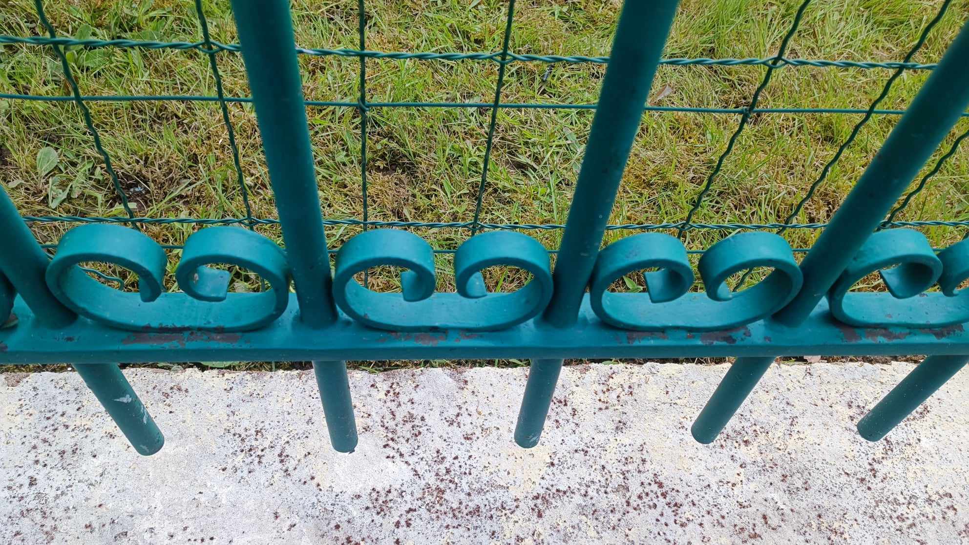 Nettoyage clôture garde corps Prosteam services vosges 