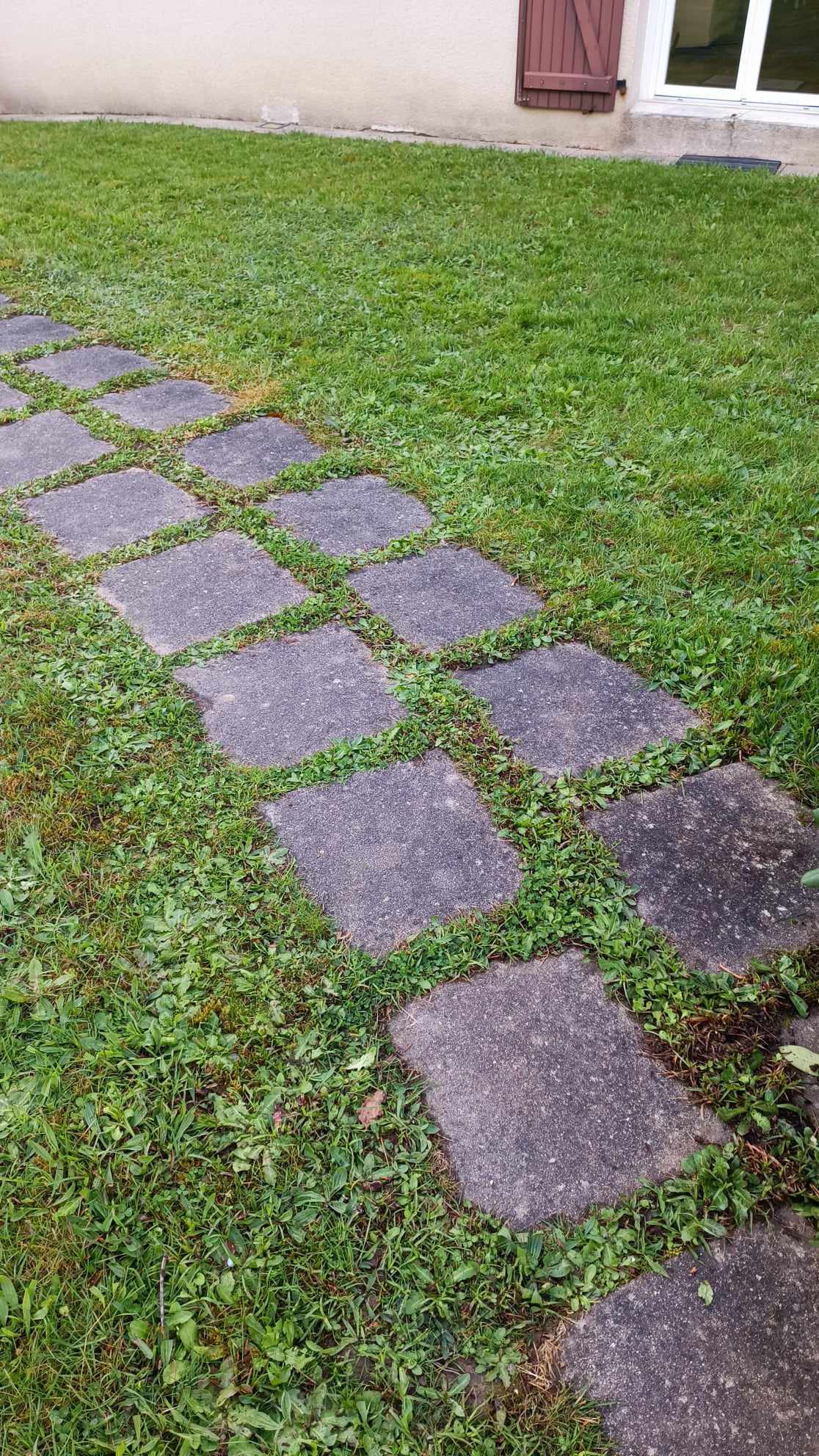 nettoyage dalles extérieur prosteam services vosges 