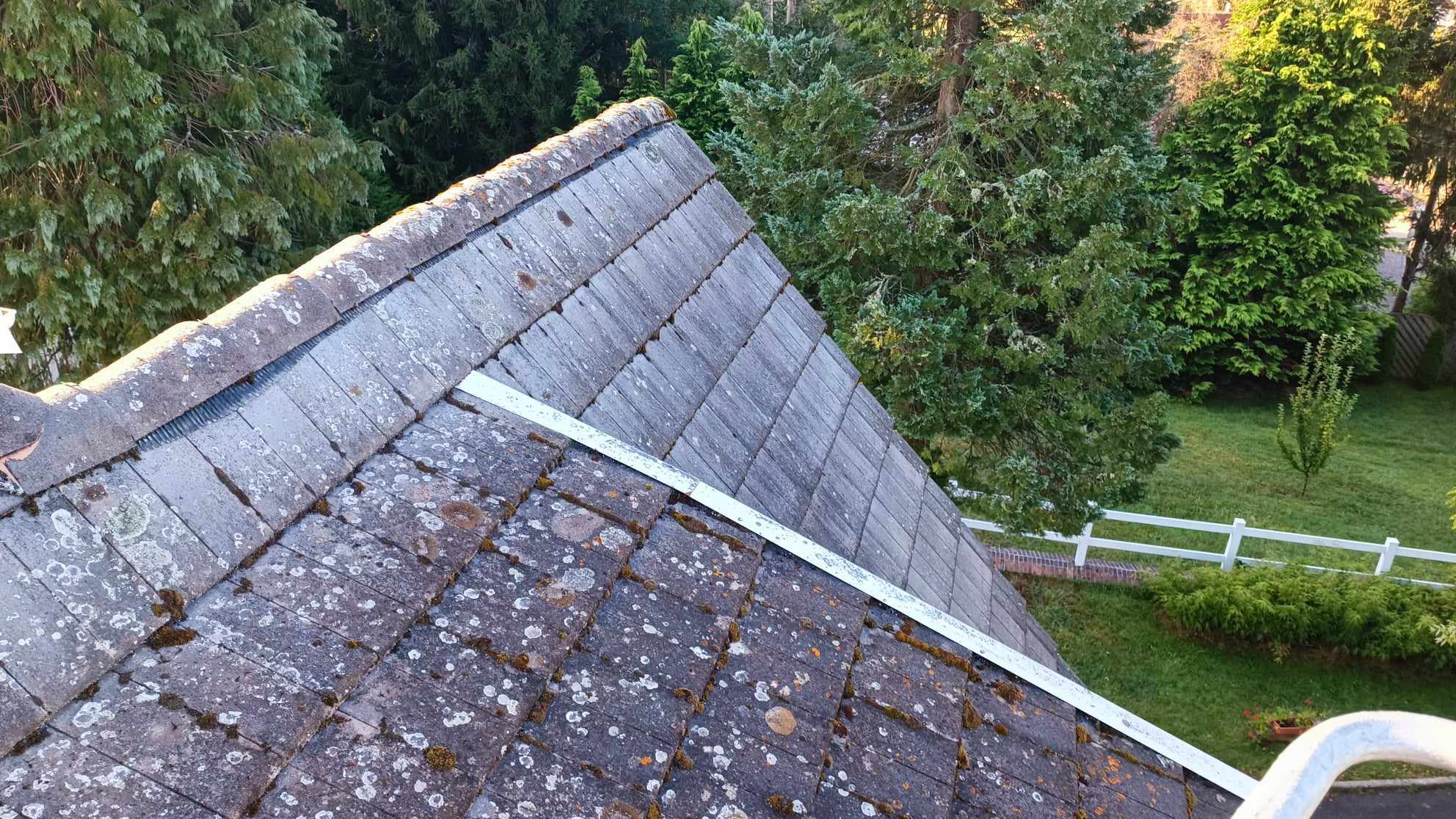 Nettoyage tuiles prosteam services vosges 