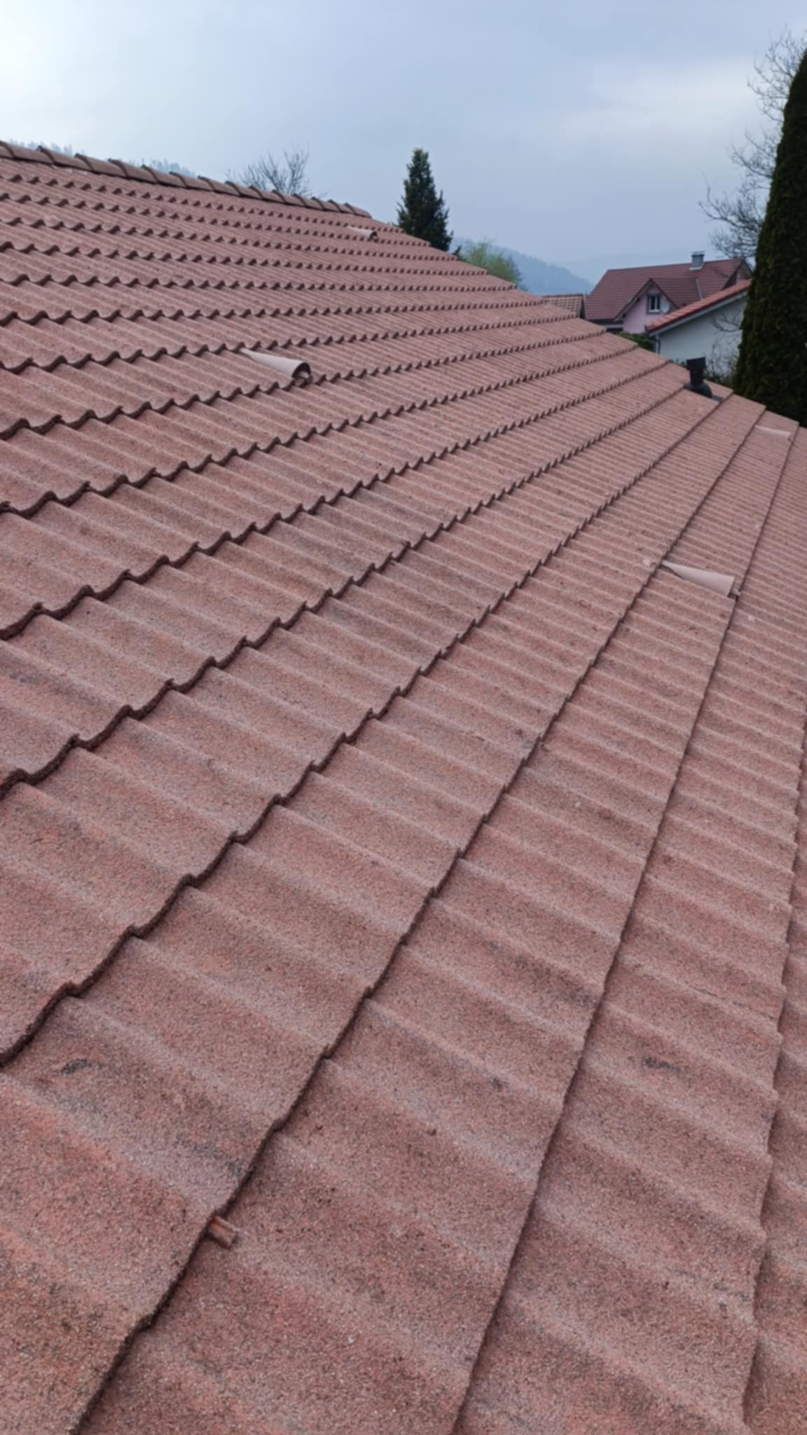 Nettoyage tuiles prosteam services vosges 