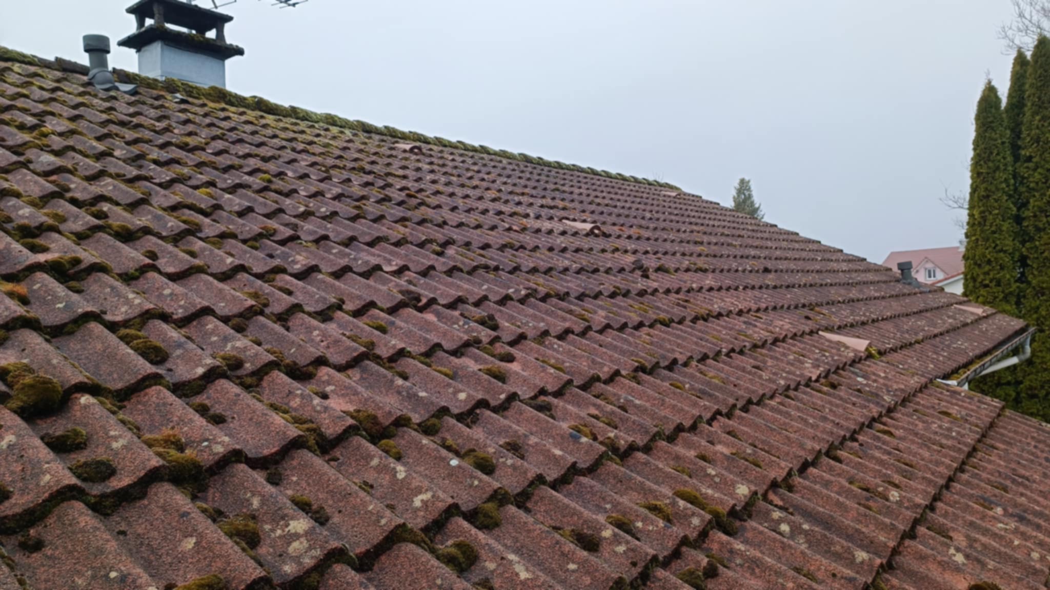 Nettoyage tuiles prosteam services vosges 